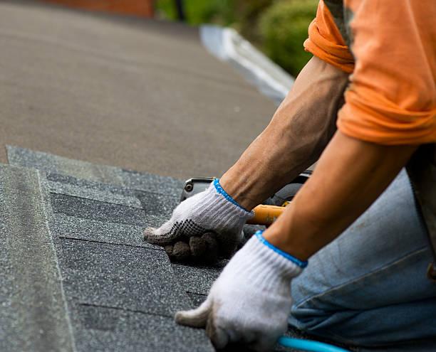 Best Roof Maintenance Services  in Wagoner, OK